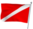 Spearfishing Flag