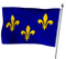 Ile de France flag