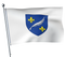 Cannes Flag