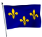 Ile de France flag