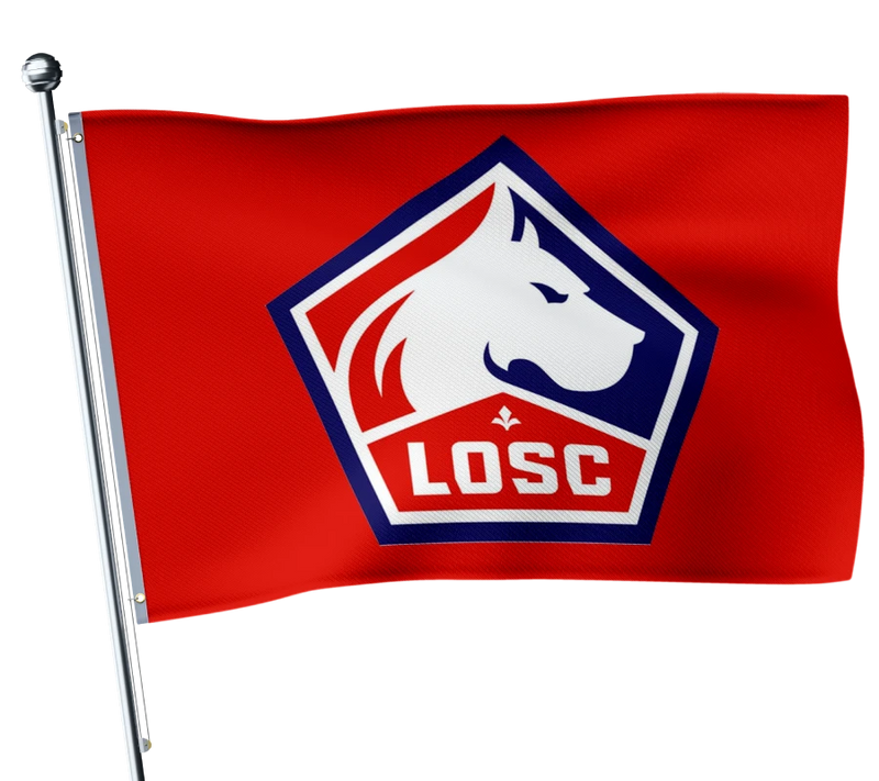 LOSC flag