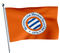 MHSC Flag