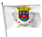 Saint Barthélémy Flag