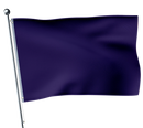 Purple Flag Swimming