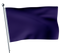 Purple Flag Swimming