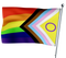 Drapeau LGBT-Expert Drapeaux