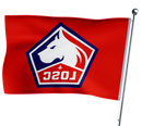 LOSC flag