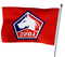 LOSC flag