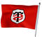 Toulouse Stadium Flag