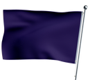 Purple Flag Swimming