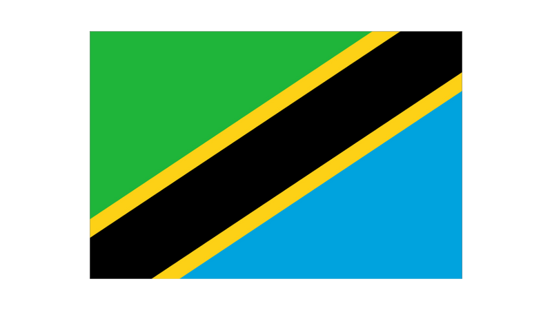 Drapeau Tanzanie-Expert Drapeaux