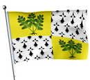 Fougères Flag