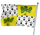 Fougères Flag